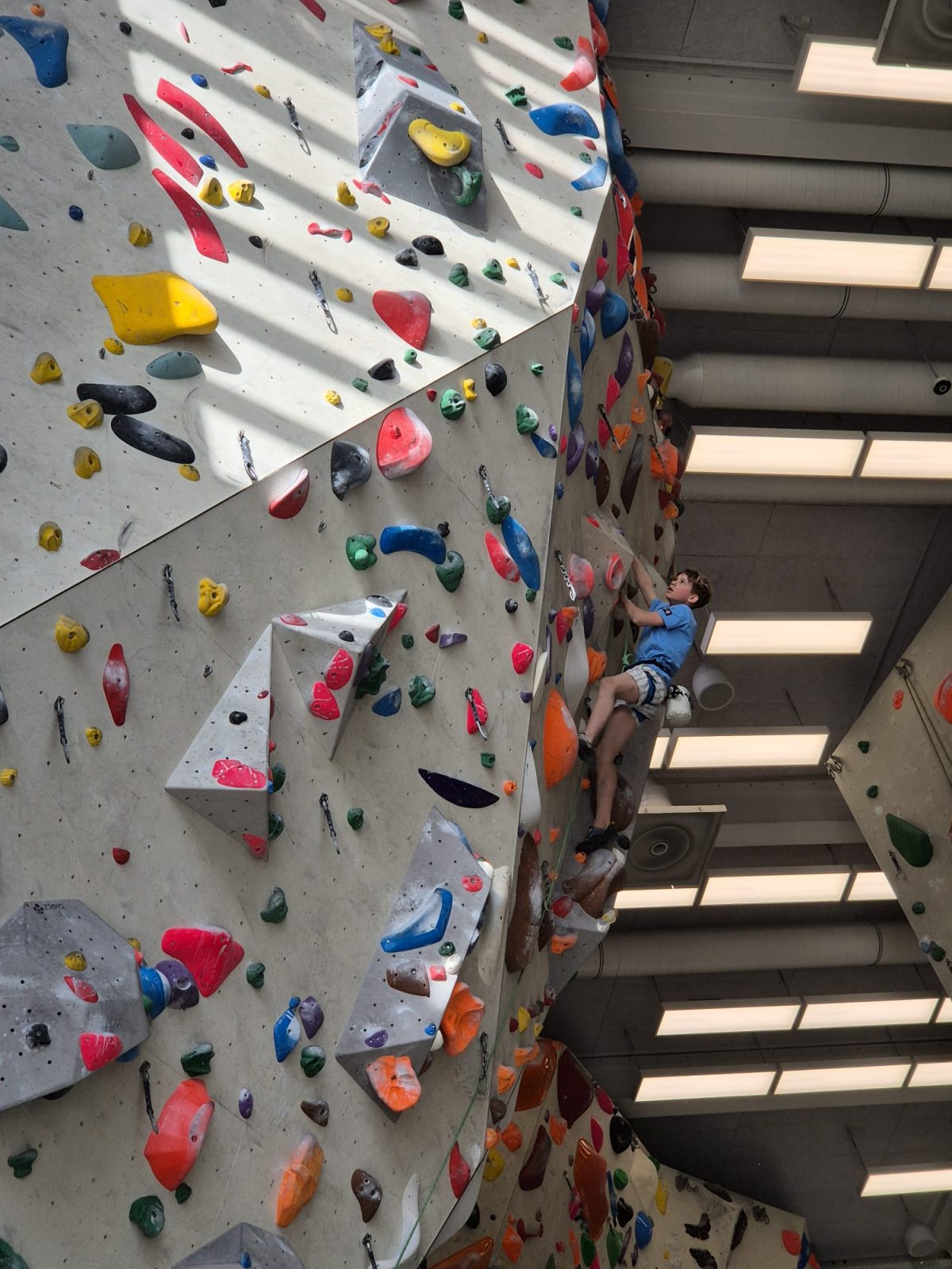 Regionalzentrum Sportklettern NWS